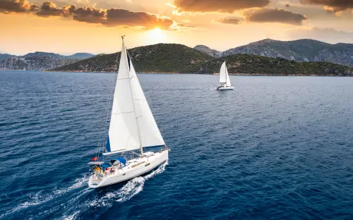 Annual Report Visual